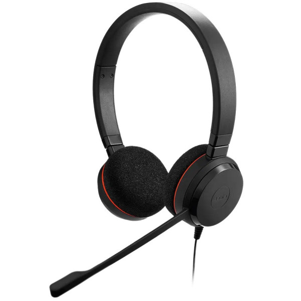 JABRA EVOLVE 20 UC DUO USB, MIC